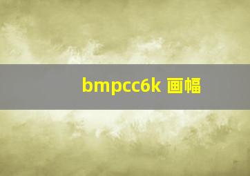 bmpcc6k 画幅